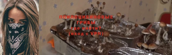 дживик Нягань